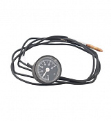 Термометр для R21-DDC (2744974)