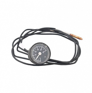 Термометр для R21-DDC (2744974)