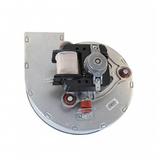 Вентилятор WR325/WR250/ZW20 (87072040010)