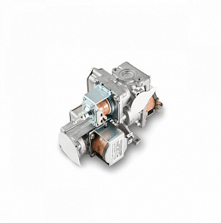 Арматура газовая в сборе для Deluxe, Deluxe Coaxial, Deluxe Plus, Deluxe Plus Coaxial (30010310B)